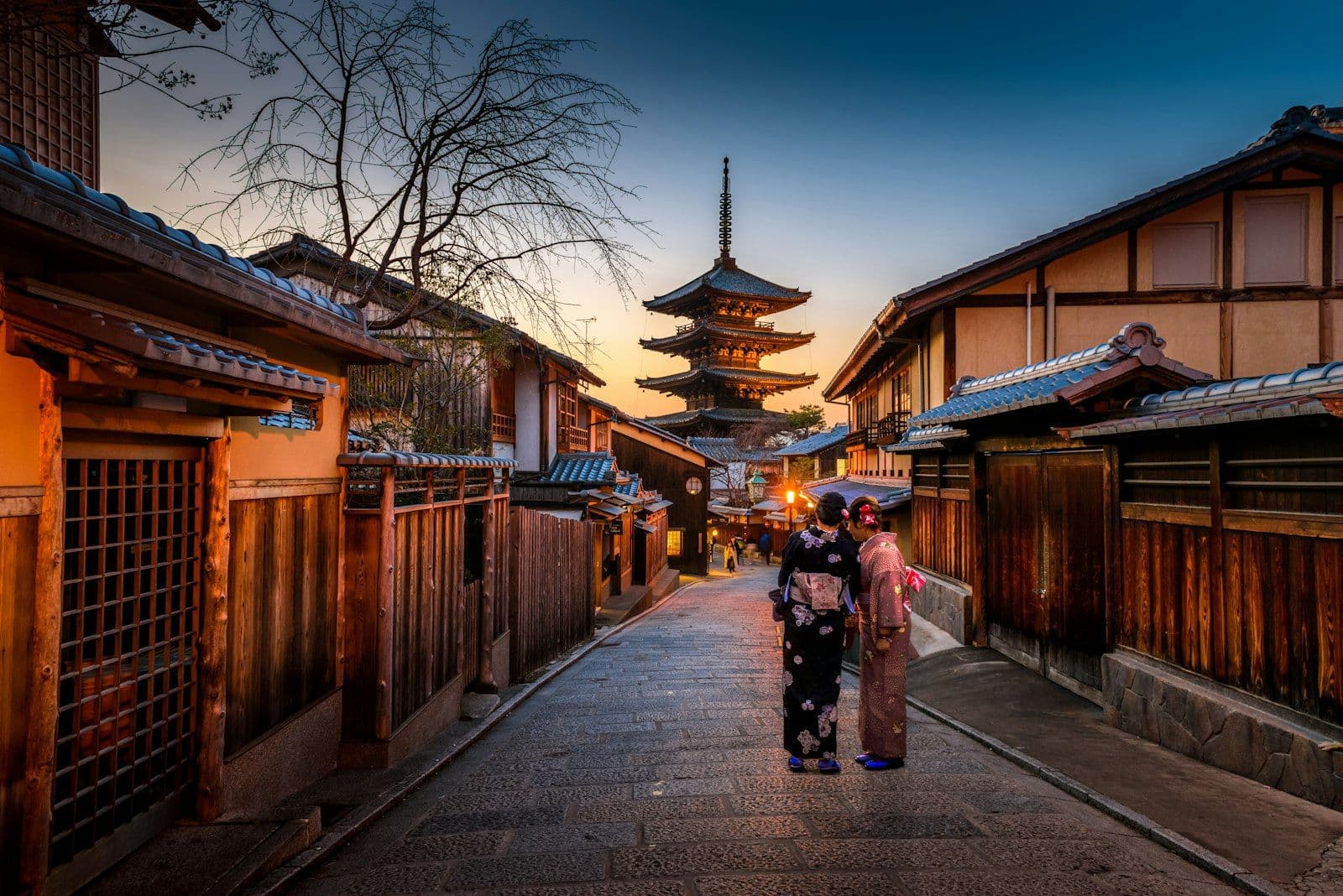 Cherry blossom trees lining a canal path in Kyoto, Japan during spring